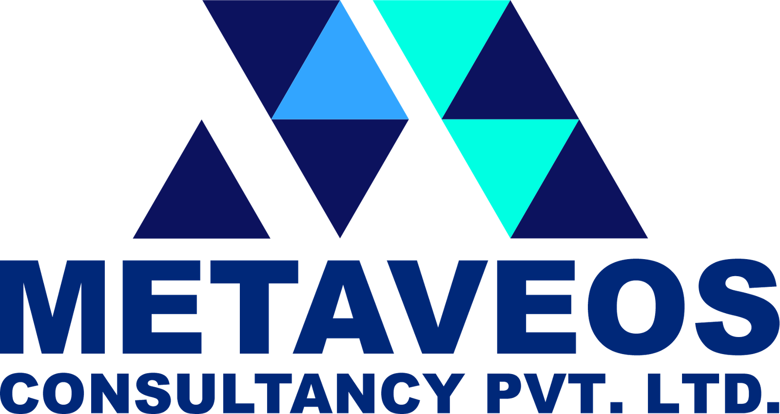 metaveos HRMS Logo